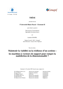 Maintenir la viabilité ou la résilience d`un système : les machines à