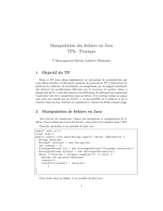Manipulation des fichiers en Java TP6 : Pratique