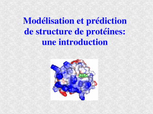 Modélisation et prédiction de structure de protéines: une introduction