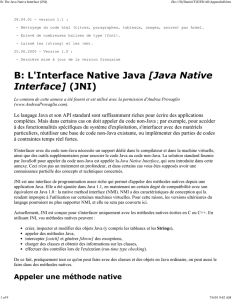 B: L`Interface Native Java [Java Native Interface] (JNI)