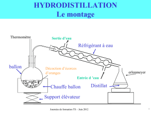 Hydrodistillation - lycée Jean Dupuy