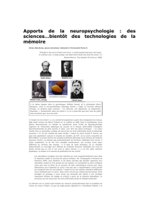 104_Apportsneuropsychologie