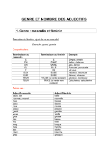 genre et nombre des adjectifs - Lerian-Nti