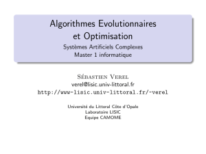 Algorithmes Evolutionnaires et Optimisation