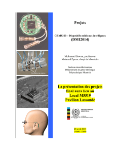 Projets - Polytechnique Montréal