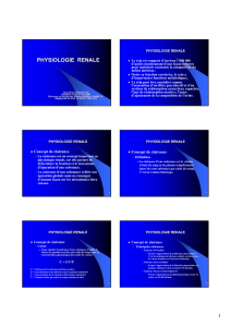 PHYSIOLOGIE RENALE