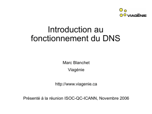 Introduction au fonctionnement du DNS