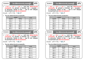 Mes leçons de Français GRAMMAIRE CE2