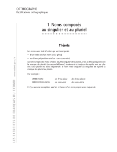 1 Noms composés au singulier et au pluriel