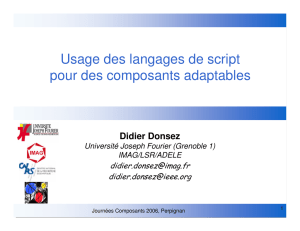 Usage des langages de script pour des composants adaptables