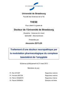 Zeitler_Alexandre_2013_ED414.p... - TEL (thèses-en