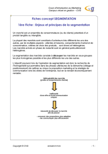 Enjeux et principes de la segmentation