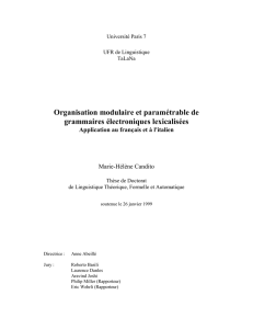 Organisation modulaire et paramétrable de grammaires