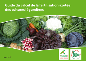 Guide du calcul de la fertilisation azotée des cultures légumières