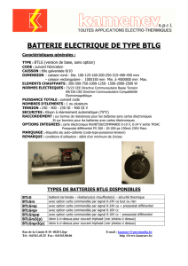 BATTERIE ELECTRIQUE DE TYPE BTLG