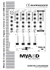 Mixer DJ 5 voies dont 2 phonos, 4 lignes, 2 micros et 1