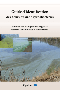 Guide d`identification des fleurs d`eau de cyanobactéries