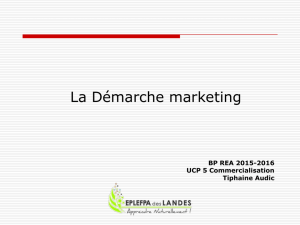 La démarche marketing