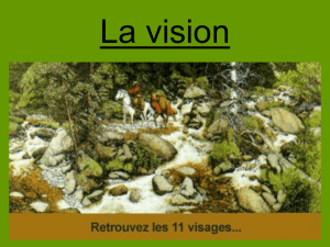 Cours La vision