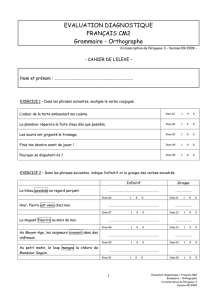 CM2 - Français - Grammaire - Evaluation diagnostique
