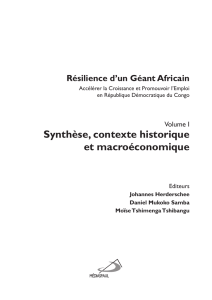 Synthèse, contexte historique et macroéconomique