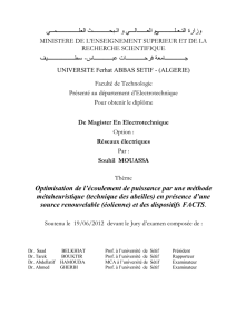 Mémoire de MAGISTER - Université Ferhat Abbas