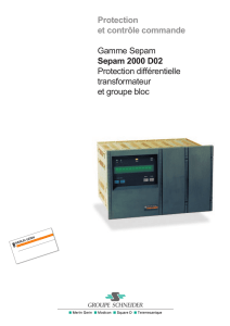 Sepam 2000 D02 - Schneider Electric Belgique