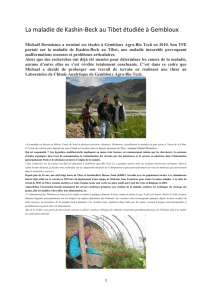 La maladie de Kashin-Beck au Tibet étudiée à Gembloux