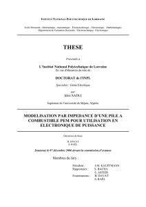 modelisation par impedance d`une pile a combustible pem