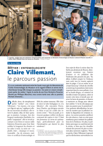 Claire Villemant / Insectes n° 138