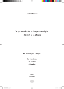 La grammaire de la langue amazighe : du mot à la phrase