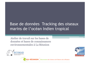 Base de données Tracking des oiseaux marins de l`océan Indien