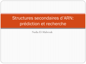 Structures secondaires d`ARN: prédiction et identification