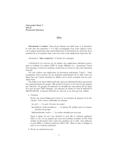 Université Paris 7 M2 II Protocole Internet Document à rendre: Vous
