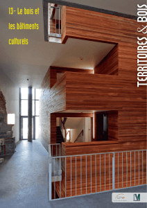 13- Le bois et les bâtiments culturels