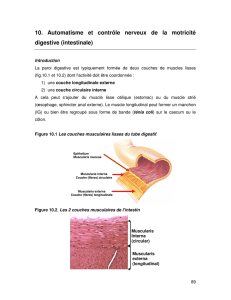 10. Automatisme et contrôle nerveux de la motricité digestive