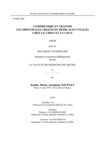 Télécharger le texte intégral - Thèses
