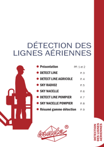 détection des lignes aériennes