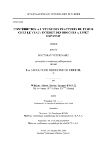 contribution a l`etude des fractures du femur chez le - Thèses