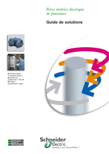 Force motrice électrique de puissance Guide de solutions