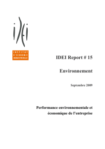 IDEI Report # 15 Environnement