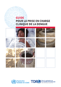 guide pour la prise en charge clinique de la dengue