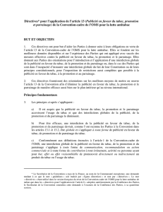 Directives* pour l`application de l`article 13 (Publicité en faveur du
