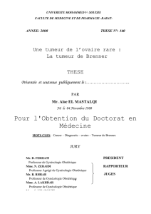 Voir/Ouvrir