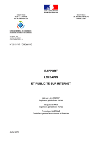 rapport loi sapin et publicité sur internet