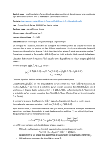 Implémentation d`une méthode de décomposition de domaine pour