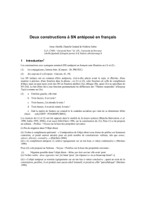 Deux constructions à SN antéposé en français