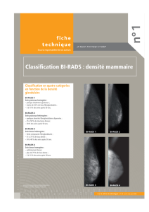 Classification BI-RADS : densité mammaire