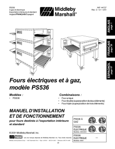 Fours électriques et à gaz, modèle PS536