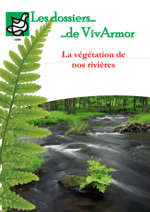 La végétation des rivières